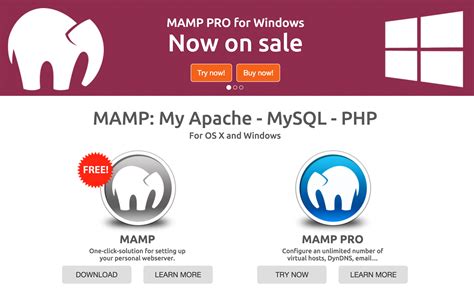 Image result for Setting Up Local Server