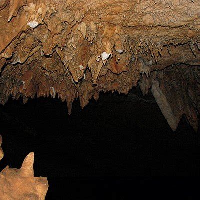 THE BEST Chhattisgarh Caverns & Caves (with Photos) - Tripadvisor