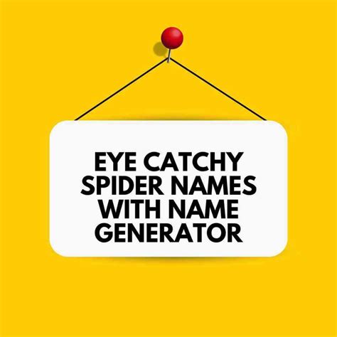 Eye Catchy Spider Names With Name Generator