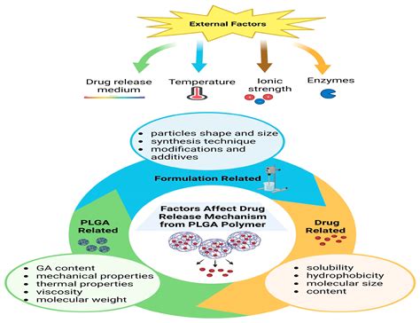 Harnessing the Potential of PLGA Nanoparticles for Enhanced Bone ...