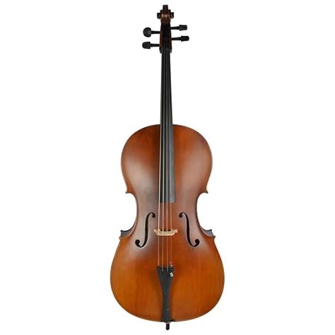 Infinity Cello 4/4, Professional model : Amazon.in: Musical Instruments