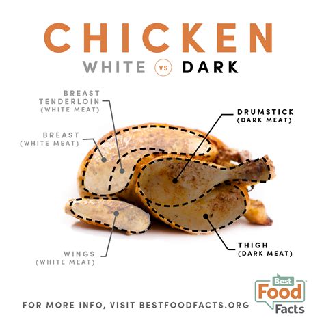 Dark Chicken Meat