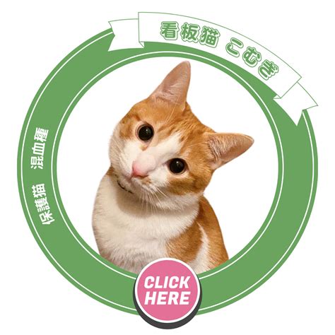 Image result for Problem Statement for Programming