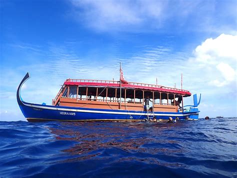 EURO-DIVERS HAVODDA Guide (2026) All You Need to Know BEFORE You Go ...