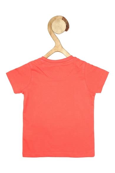 Buy Boys Peach Regular Fit Graphic Print Crew Neck T-shirt Online ...