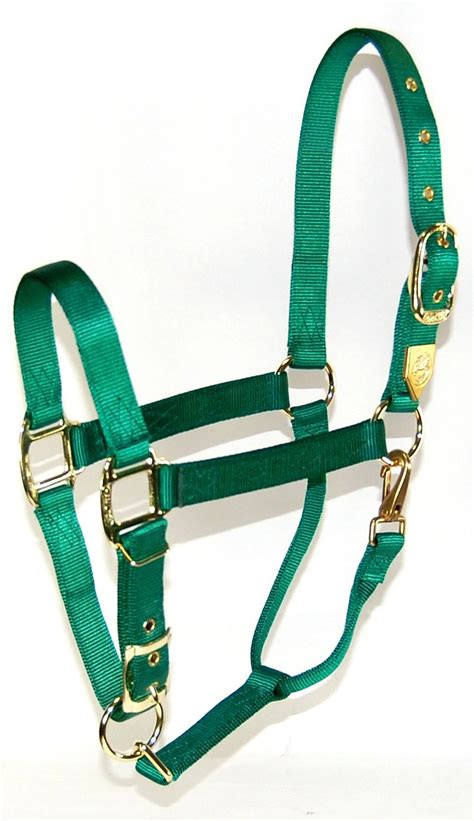 Hamilton 1-inch Nylon Halter with Adjustable Chin, Green - Yearling ...