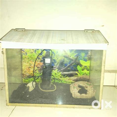 I want to sell my Fish Tank - Pet Food & Accessories in Kausa, Thane ...