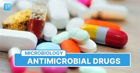 Image result for Antimicrobial Examples