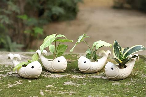 Lyallpur Stores Ceramic Pots for Plants Fish Shape - Medium Size (White ...