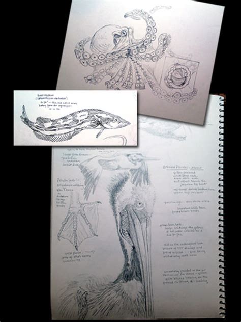 Natural Science Frame 的图像结果