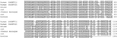 Image result for Conserved Sequence