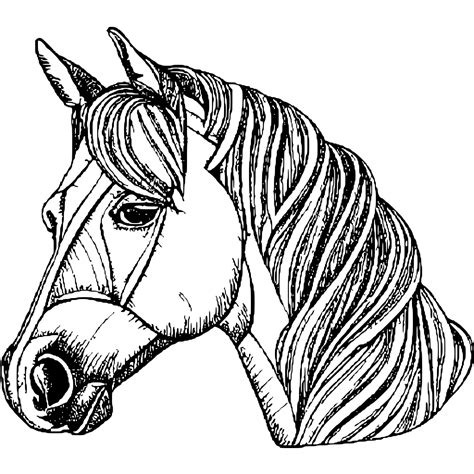 Realistic Horse Head Coloring Pages at Gemma Oconor blog