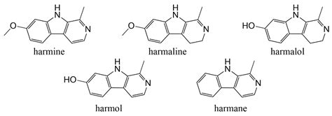 β-Carboline Alkaloids from Peganum harmala Inhibit Fusarium oxysporum ...