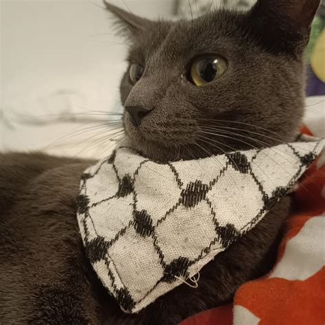 Spanish_german_marxist – Medium