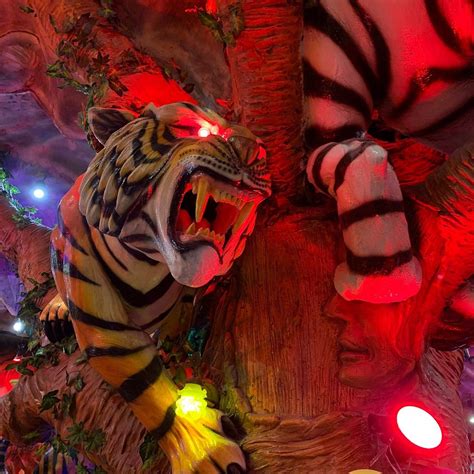 TIGER INN (Patong, Phuket) - Hotel Reviews & Photos - Tripadvisor