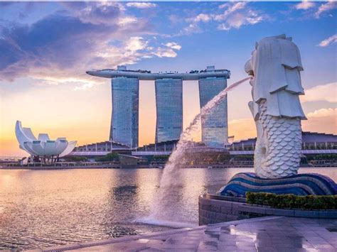 免费留学！2023年新加坡3+2/2+2/1+2国际本科招生简介 - 知乎