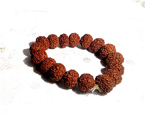 AC Creation Certified 6 Mukhi Rudraksha Bracelet, 6 Face rudraksha ...