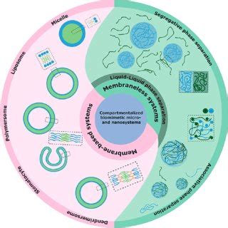 Image result for Aqueous Two-phase System Applications