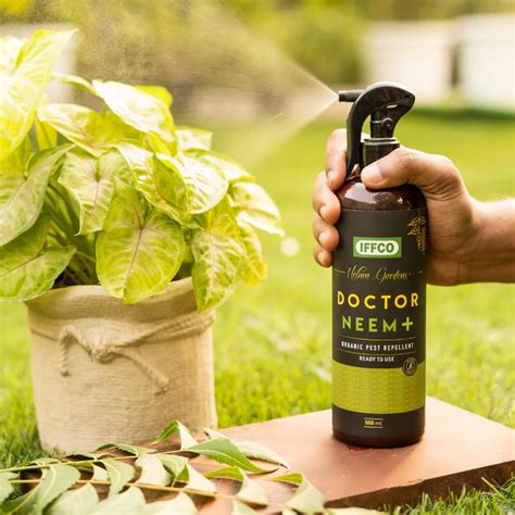 How to use neem oil on your plants to fight pests | SA Garden and Home