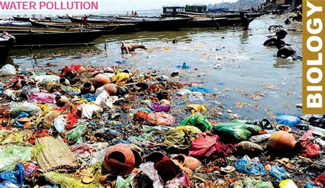 Pollution of Air & Water, Chapter Notes, Class 8, Science | EduRev Notes