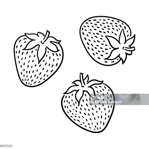Strawberries Clip Art Black And White
