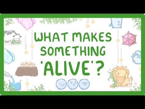 Characteristics of living things Video Lecture - Year 7 Biology ...