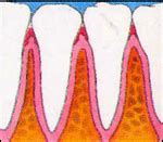 Welcome to Dr.Gupta's Dental Specialities Centre