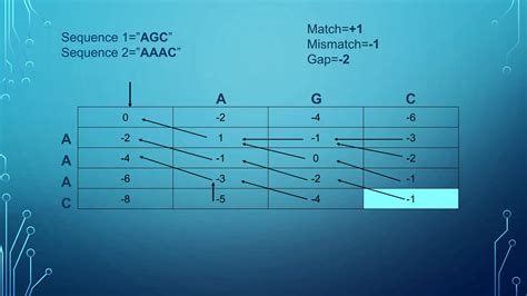Needleman-Wunsch Tutorial 的图像结果