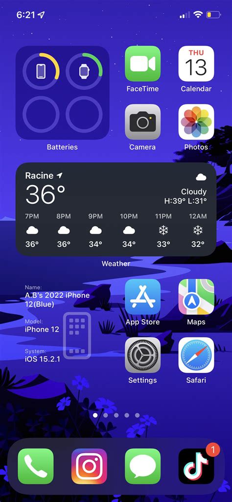 iPhone 12 Home Screen Setup 的图像结果