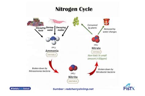 Image result for Test Paper Example