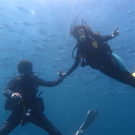 SOPE DIVING - All You Need to Know BEFORE You Go 2026 (with Photos ...