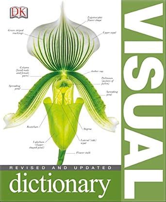 Visual Dictionary : DK: Amazon.in: Books