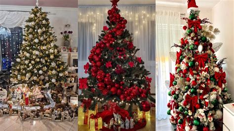 ŠibenikIN bira najjelku: Bogate nagrade osigurali su Bronzin, Optika ...