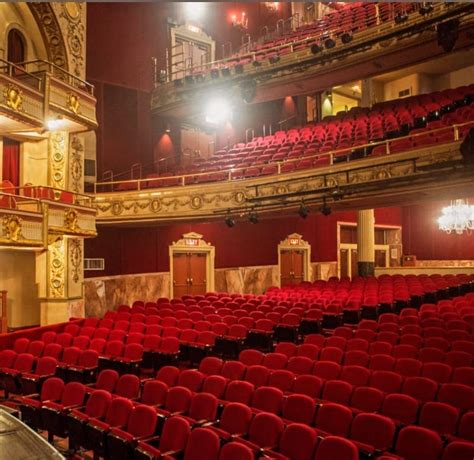 Lisa Polizzi at The Apollo , Apollo Theater, Edgewater, 24 April 2024 ...