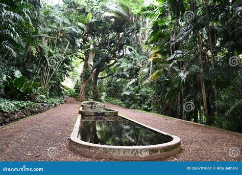Three Pools at Allerton Garden - National Tropical Botanical Garden in ...