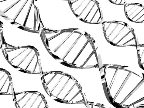 DNA Model Drawing 的图像结果