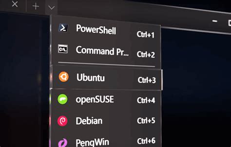 Image result for How to Use Linux Kernel On Windows