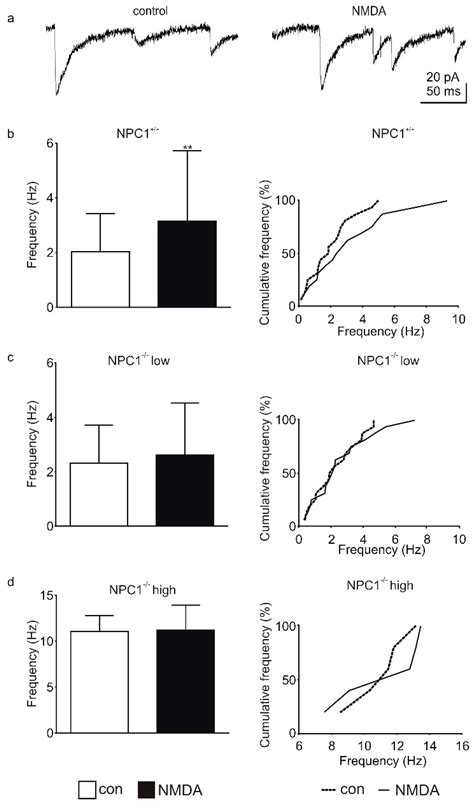 Alteration of GABAergic Input Precedes Neurodegeneration of Cerebellar ...