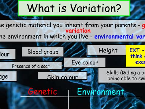 Variation Definition 的图像结果