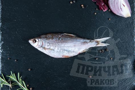 Тарань вяленая - Купить раков Ростов-на-Дону