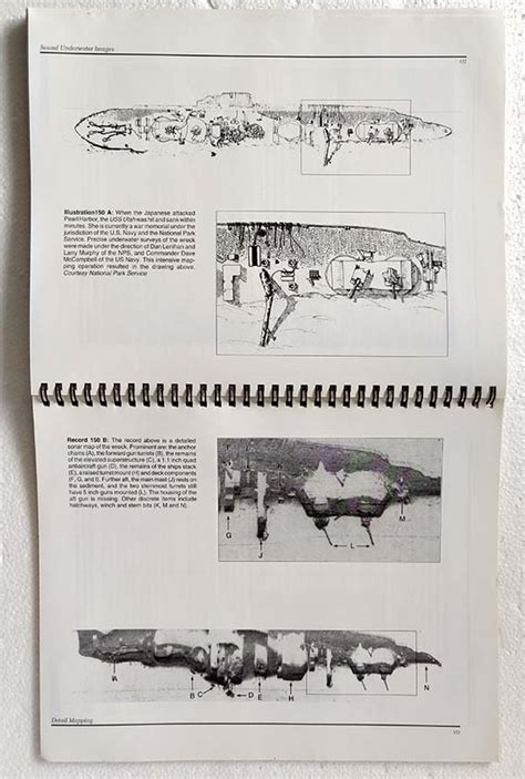 Sound of Fish Underwater 的图像结果