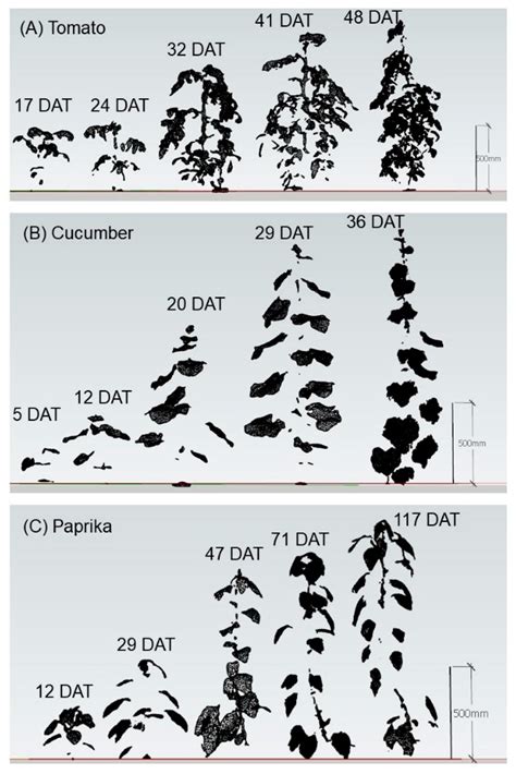 Monitoring the Growth and Yield of Fruit Vegetables in a Greenhouse ...