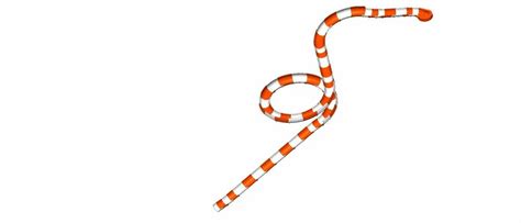 Water Slides - 15 Feet Water Park Combination Slide Service Provider ...