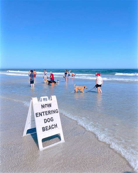 Explore Wildwood Beach, NJ: Fun, Free Activities, and More! - Amazingworld