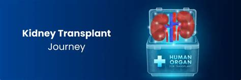 Kidney Transplant Journey: What to Expect | Medicover Hospitals