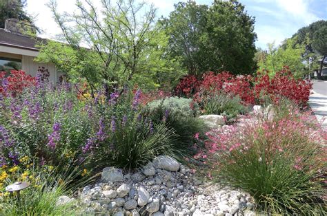 California Native Garden Plans at Hayden Seton blog