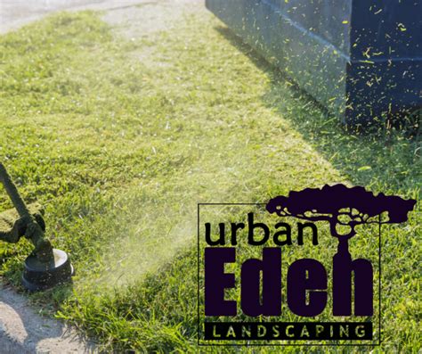 Image result for Cane Whacking