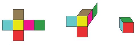 Image result for Visualising Solid Shapes Class 7 Explaining Net