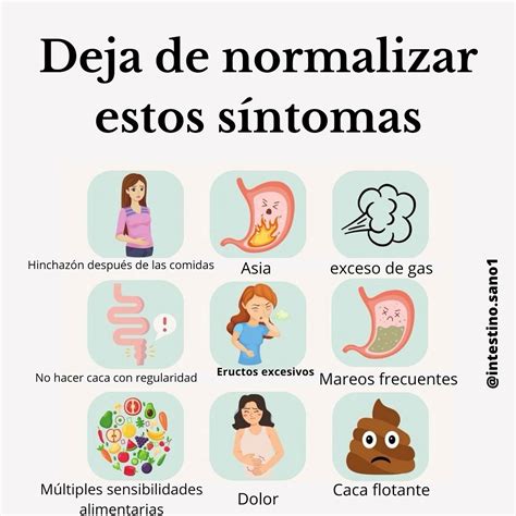 Intestino Sano | ¿Quiere mejorar la salud intestinal y aumentar la ...