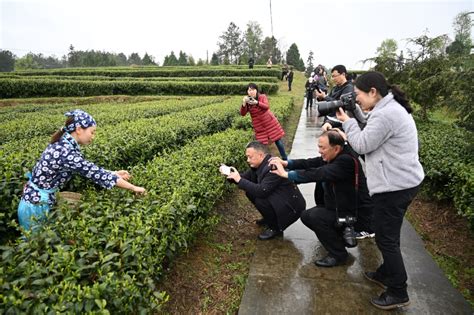 "四川新风景"摄影采风团用镜头记录巴中城乡巨变_巴中文艺网 巴中市文学艺术界联合会